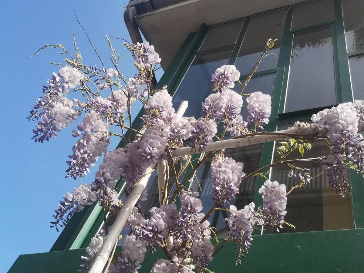 Casadei24 Apartment Guidonia Montecelio Luaran gambar